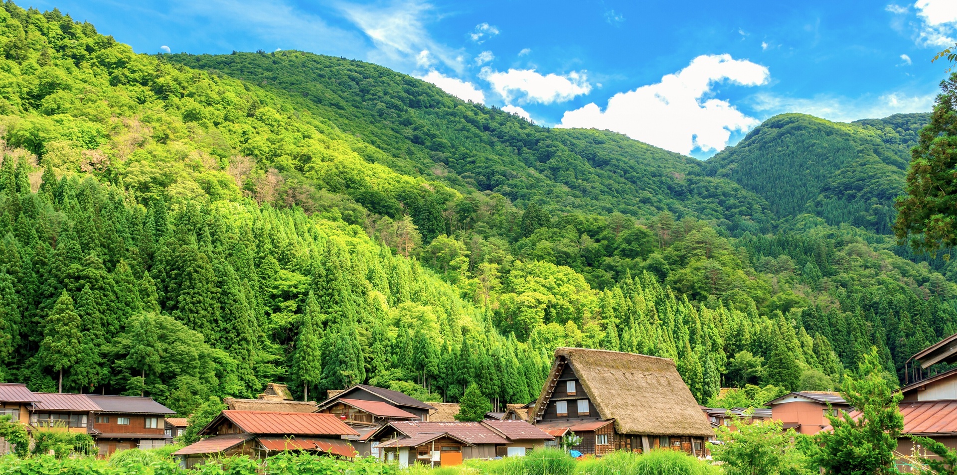 Ancient Kingdoms of Japan and South Korea